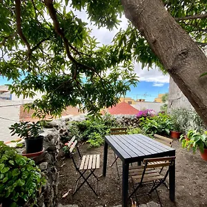 https://apt-secret-spot-santa-cruz.in-canary-islands.com